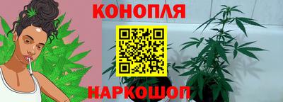 прущий лед Будённовск