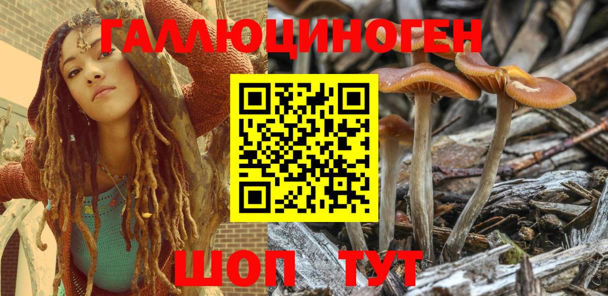 Арзамас  Псилоцибиновые грибы Psilocybe  Вход с VPN  Псилоцибиновые грибы MAGIC MUSHROOMS 